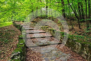 Winding stone steps with foliage horizontal